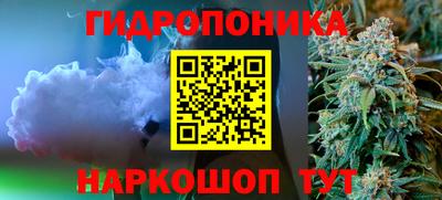 a pvp Малгобек