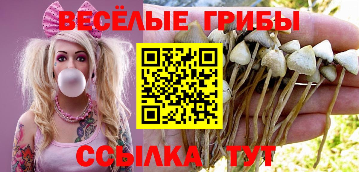 Галлюциногенные грибы прущие грибы Пугачёв