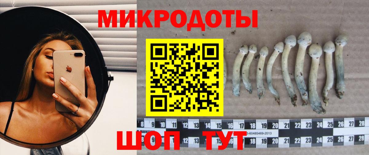 Псилоцибиновые грибы мицелий  Вход с VPN  Пугачёв 